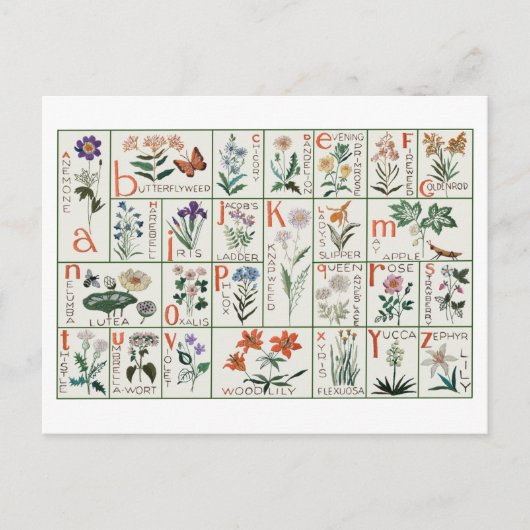  borduurlintmonsternemer | Wilde bloemen Briefkaart (Voorkant)