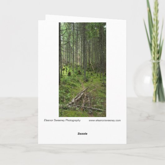 "Boreal Life Trail" Adirondack Forest Scene Kaart (Achterkant)