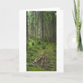 "Boreal Life Trail" Adirondack Forest Scene Kaart (Voorkant)