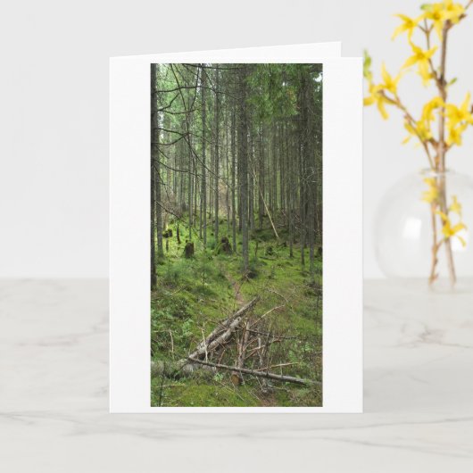 "Boreal Life Trail" Adirondack Forest Scene Kaart (Gele Bloem)