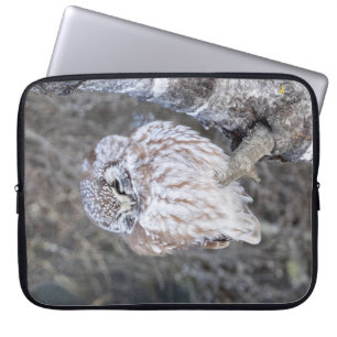 Boreal Owl Laptop Sleeve 15"
