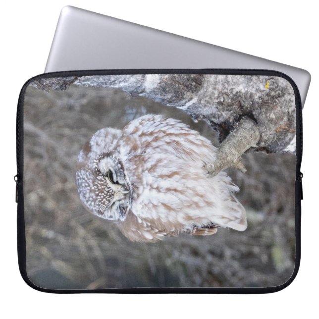 Boreal Owl Laptop Sleeve 15" (Voorkant)
