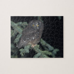 Boreale boomkor op bijkantoor legpuzzel