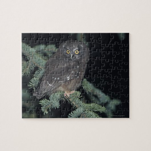 Boreale boomkor op bijkantoor legpuzzel (Horizontaal)