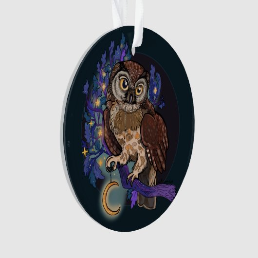 Boreale Nacht Owl Ornament (voorkant)