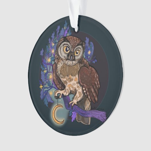 Boreale Nacht Owl Ornament (voorkant)