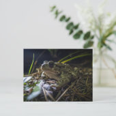 boreale pad briefkaart (Staand voorkant)
