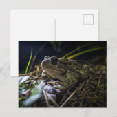 boreale pad briefkaart (Voorkant / Achterkant)