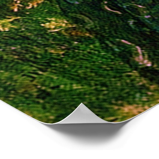 Boreas (1902)~ Fine Art Canvas Poster (Hoek)