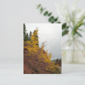 boreas passaspens briefkaart (Staand voorkant)