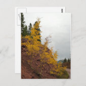 boreas passaspens briefkaart (Voorkant / Achterkant)