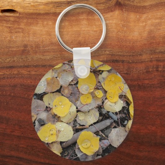 boreas passaspens sleutelhanger (Voorkant)