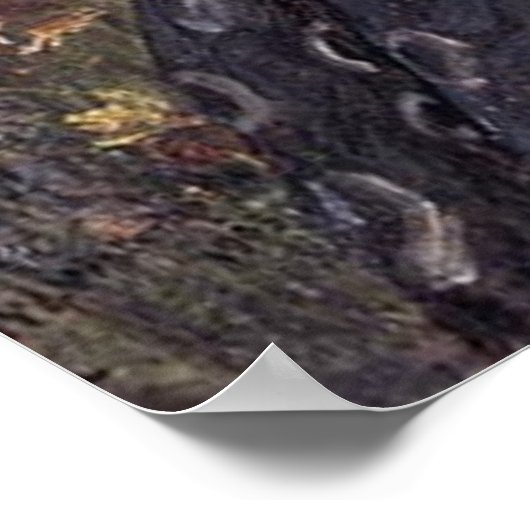 BoREAs, van John William Waterhouse, 1903 Poster (Hoek)