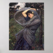 Boreasdruk Poster (Voorkant)