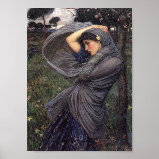 Boreasdruk Poster (Voorkant)