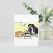 Bored Border Collie Funny Gifts T - shirts Collecb Briefkaart (Staand voorkant)
