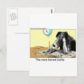 Bored Border Collie Funny Gifts T - shirts Collecb Briefkaart (Voorkant / Achterkant)
