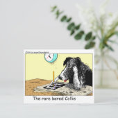 Bored Border Collie Funny Gifts T - shirts Collecb Briefkaart (Staand voorkant)