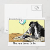 Bored Border Collie Funny Gifts T - shirts Collecb Briefkaart (Voorkant / Achterkant)
