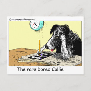 Bored Border Collie Funny Gifts T - shirts Collecb Briefkaart
