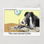 Bored Border Collie Funny Gifts T - shirts Collecb Briefkaart (Voorkant)