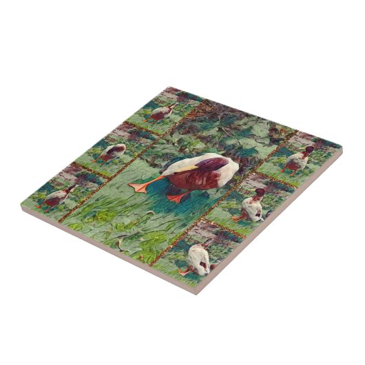 Bored Duck Photo Collage, keramische Tegel Tegeltje (Zijkant)