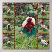 Bored Duck Photo Collage, Poster (Voorkant)