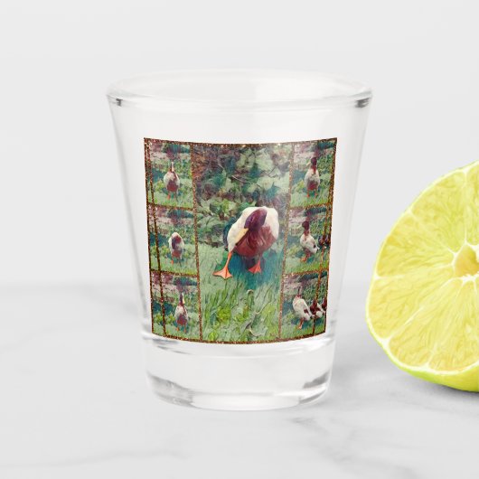 Bored Duck Photo Collage, Shot Glass Glas (Voorkant)