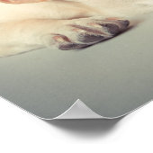 Bored French Bulldog Poster (Hoek)