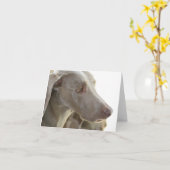 Bored Kaart van de Nota Weimaraner (Gele Bloem)