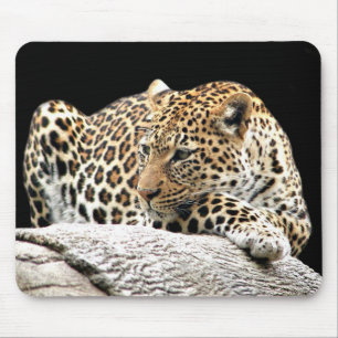 Bored leopard mousepad muismat