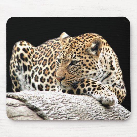 Bored leopard mousepad muismat (Voorkant)