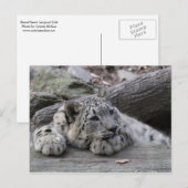 Bored Sneeuwluipkuil Briefkaart (Voorkant / Achterkant)