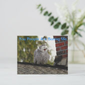 Bored Uil van de Sneeuw Briefkaart (Staand voorkant)