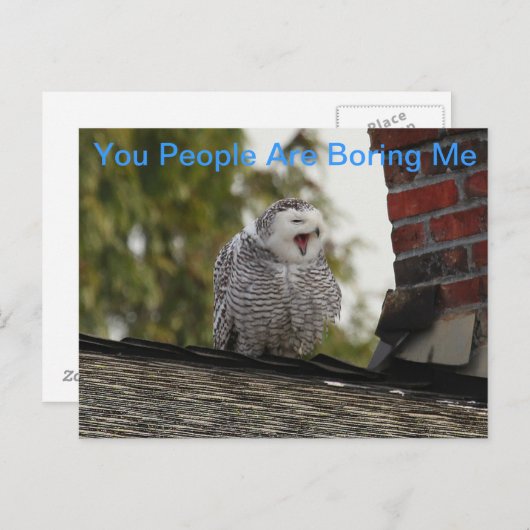 Bored Uil van de Sneeuw Briefkaart (Voorkant / Achterkant)