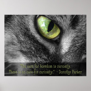 Boredom - Curiositeit, Dorothy Parker citeert post Poster