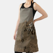 Boren Mars Curiosity Rood Mars Landschap Schort (Insitu)