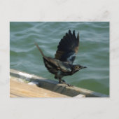 Borg  briefkaart (Voorkant)