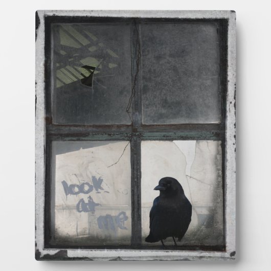 Borg buiten het oude venster fotoplaat (Voorkant)