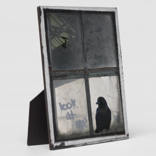 Borg buiten het oude venster fotoplaat (Zijkant)