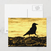 Borg op de strand briefkaart (Voorkant / Achterkant)