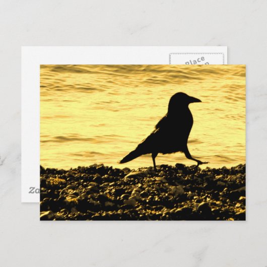 Borg op de strand briefkaart (Voorkant / Achterkant)