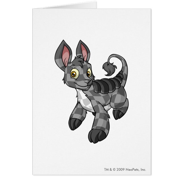 Bori Checkered (Voorkant)