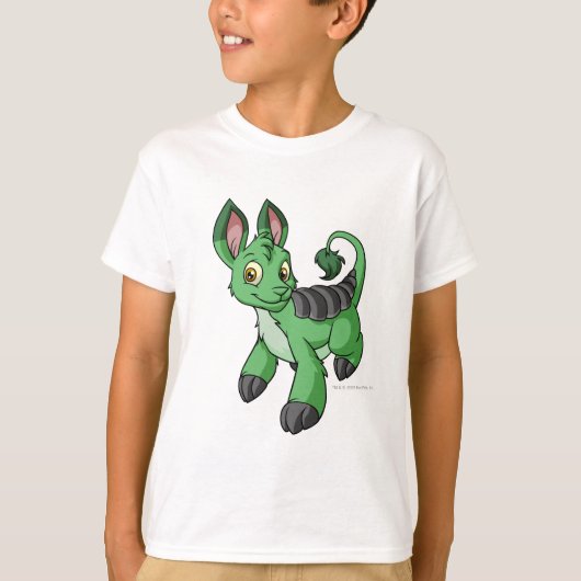 Bori Green T-shirt (Voorkant)