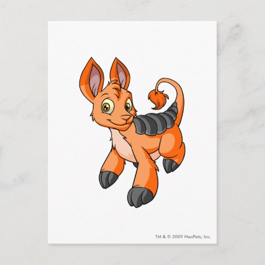 Bori Oranje Briefkaart (Voorkant)