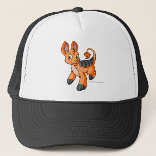 Bori Oranje Trucker Pet