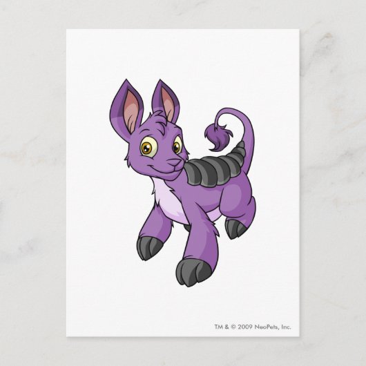Bori Purple Briefkaart (Voorkant)