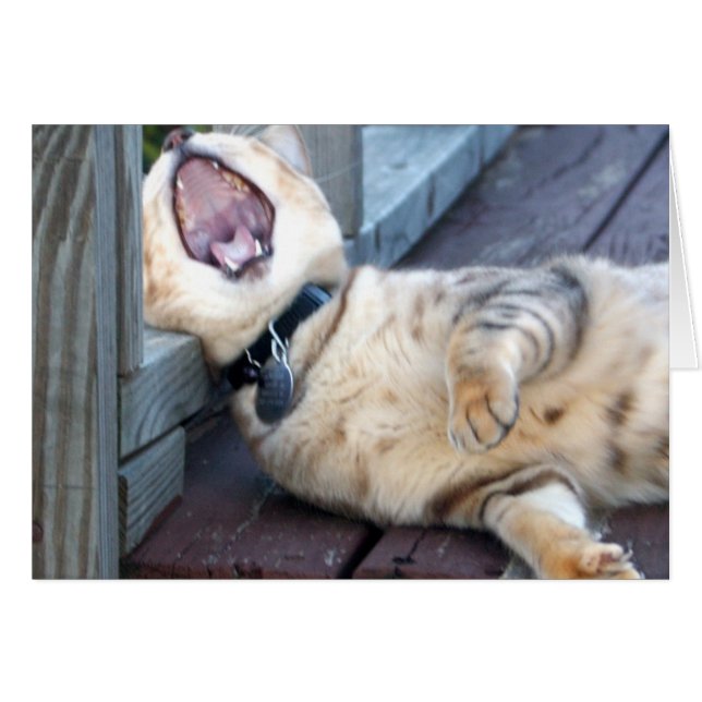 Boring! (Voorkant Horizontaal)