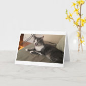 Boris de Schattigee Nubber Kat Groet Kaart (Gele Bloem)