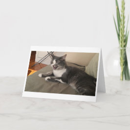 Boris de Schattigee Nubber Kat Groet Kaart